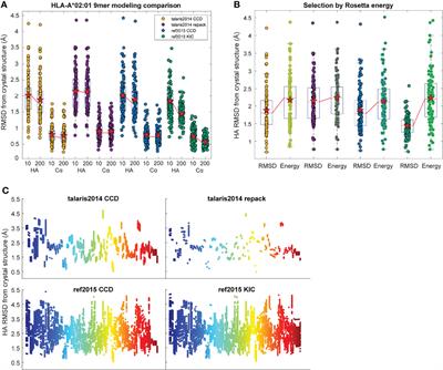 Physicochemical Heuristics for Identifying High Fidelity, Near-Native Structural Models of Peptide/MHC Complexes